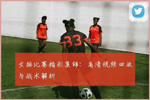 女排比赛精彩集锦：高清视频回放与战术解析